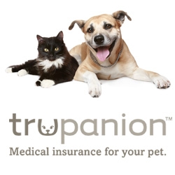 ANIMAL HOSPITAL OF ORLEANS - Your Cape Cod Veterinary Hospital offering Dog  Boarding, Day Care, and Cat Boarding :: Pet Medical Insurance