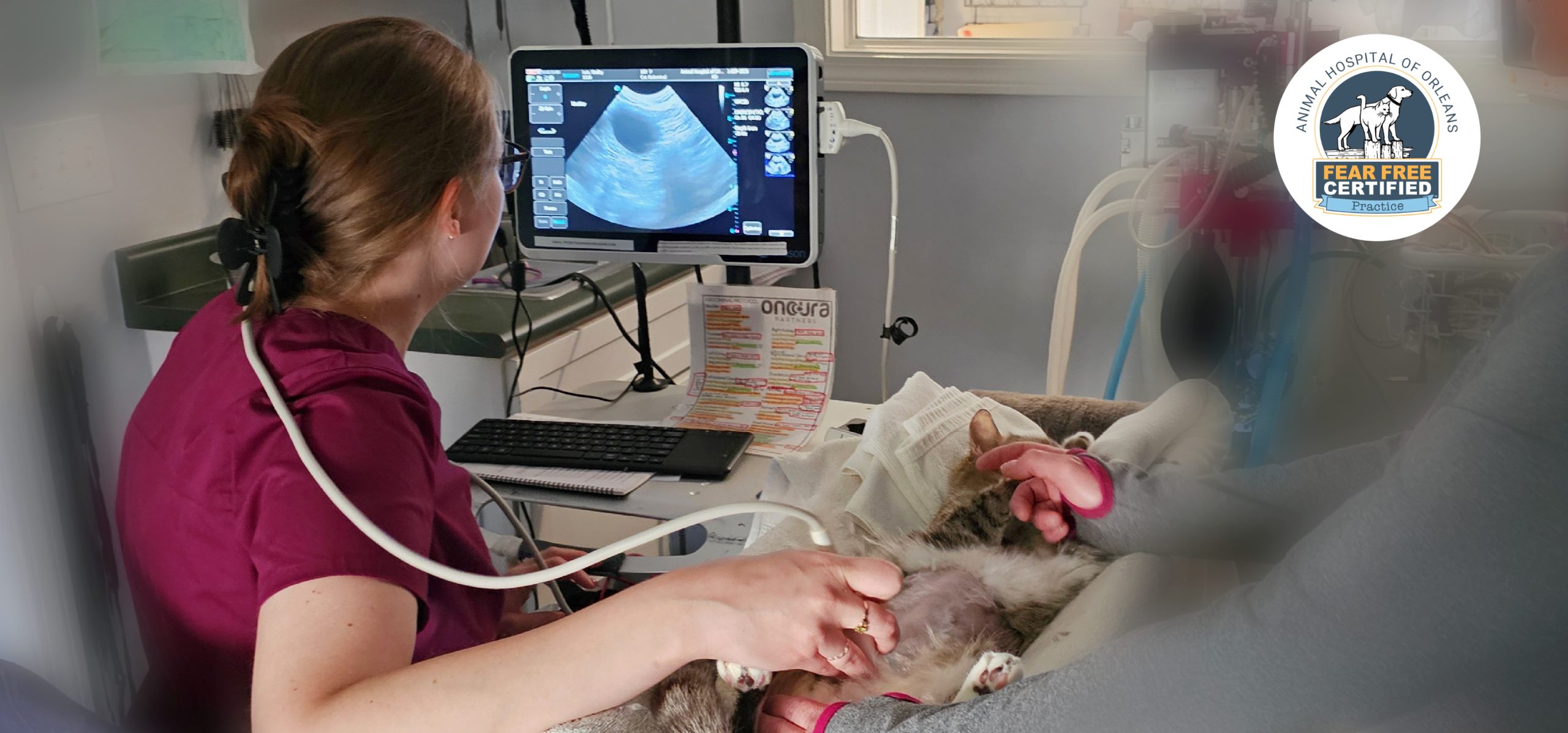 Ultrasound